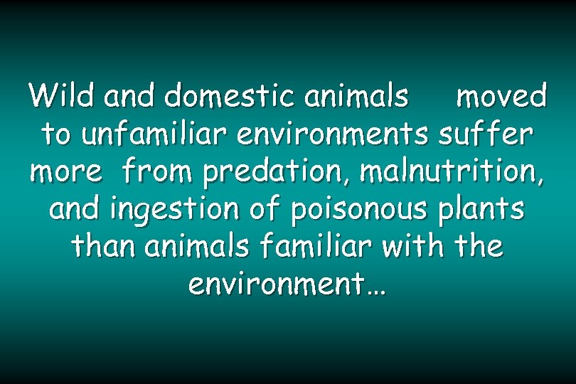 Wild and domestic animals moved to unfamiliar environments suffer more from predation, malnutrition, and