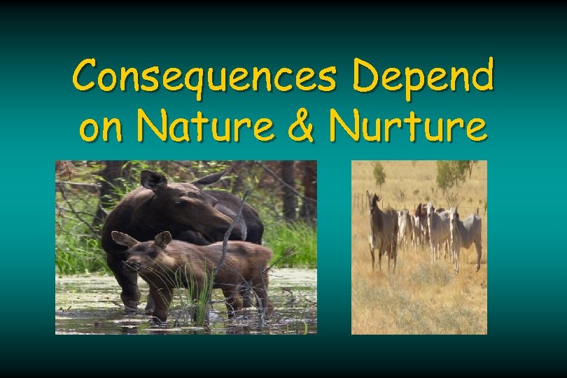 Consequences Depend on Nature & Nurture 