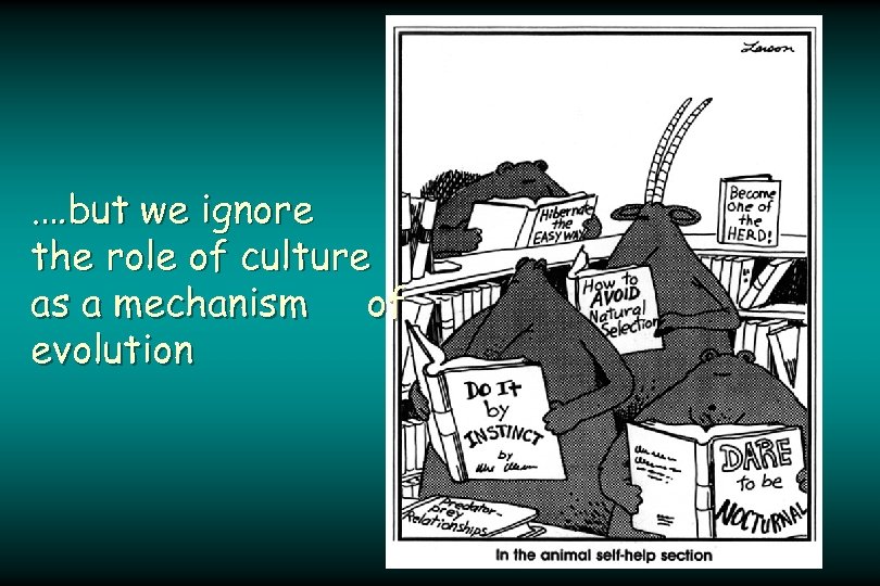 . …but we ignore the role of culture as a mechanism of evolution 
