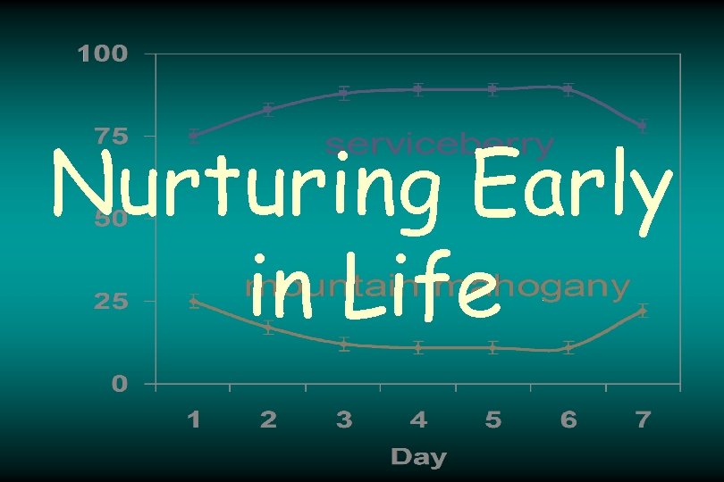 Nurturing Early in Life 