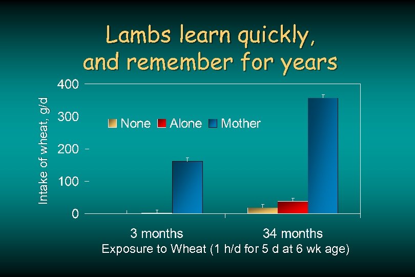 Intake of wheat, g/d Lambs learn quickly, and remember for years Exposure to Wheat