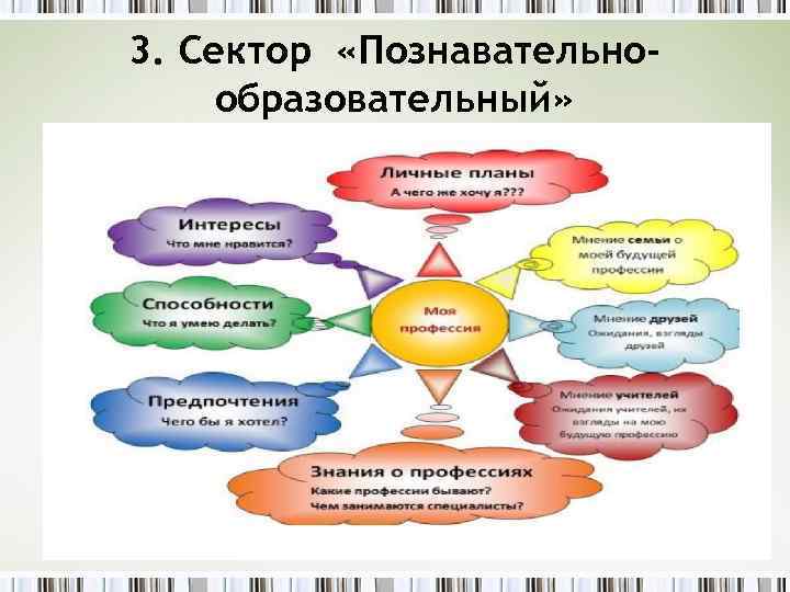 3. Сектор «Познавательнообразовательный» 