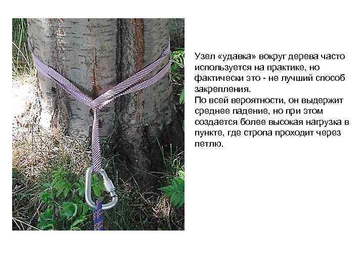 Узел «удавка» вокруг дерева часто используется на практике, но фактически это - не лучший