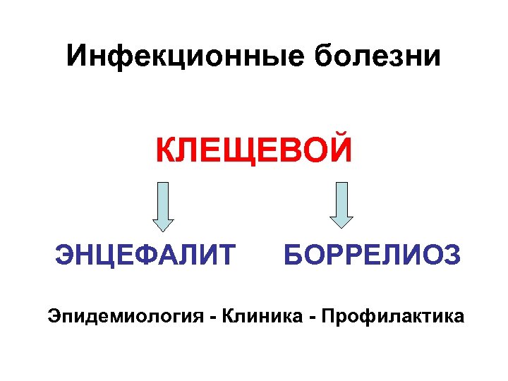 Инфекционные болезни КЛЕЩЕВОЙ ЭНЦЕФАЛИТ БОРРЕЛИОЗ Эпидемиология - Клиника - Профилактика 