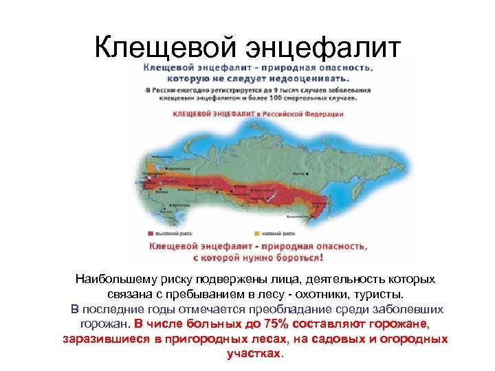 Клещевой энцефалит Наибольшему риску подвержены лица, деятельность которых связана с пребыванием в лесу -