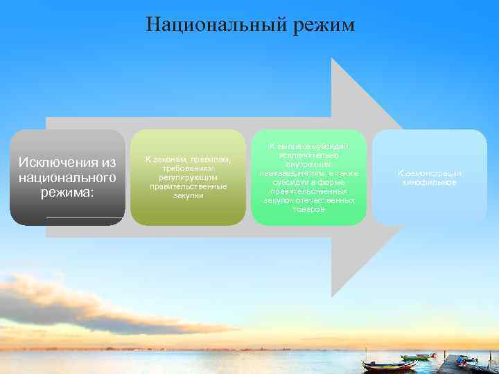 Национальный режим Исключения из национального режима: К законам, правилам, требованиям регулирующим правительственные закупки К