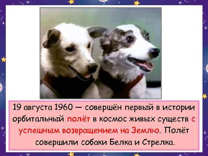 19 августа 1960 — совершён первый в истории орбитальный полёт в космос живых существ