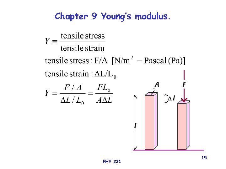 Chapter 9 Young’s modulus. PHY 231 15 