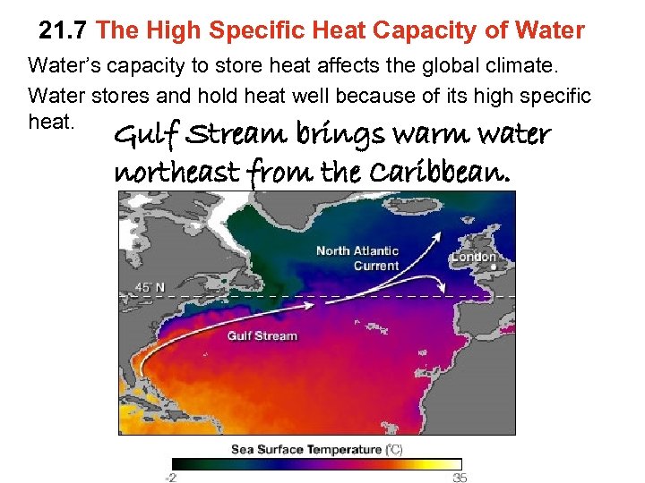 21. 7 The High Specific Heat Capacity of Water’s capacity to store heat affects