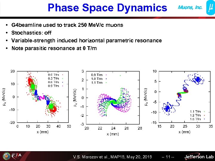 Phase Space Dynamics • • G 4 beamline used to track 250 Me. V/c