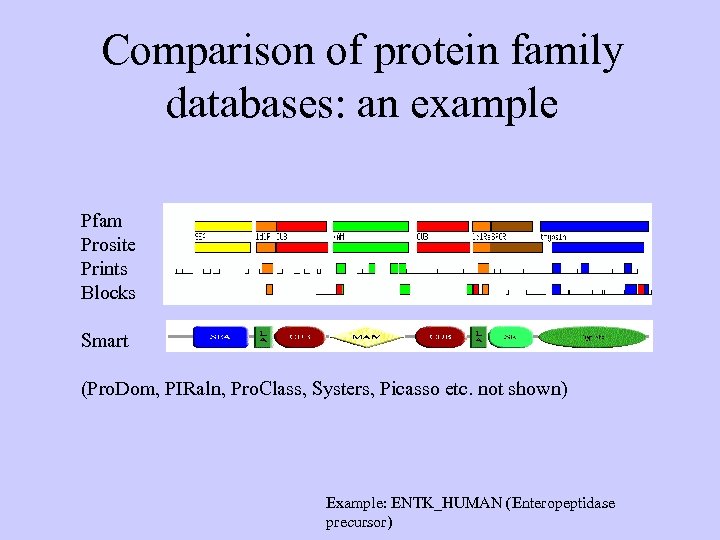 Comparison of protein family databases: an example Pfam Prosite Prints Blocks Smart (Pro. Dom,