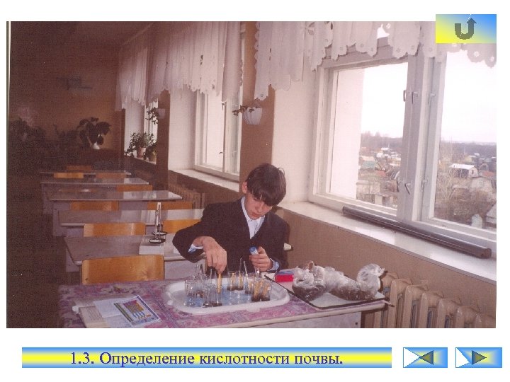 1. 3. Определение кислотности почвы. 