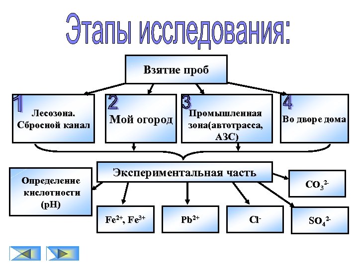 Взятие проб Лесозона. Сбросной канал Определение кислотности (р. Н) Мой огород Промышленная зона(автотрасса, АЗС)