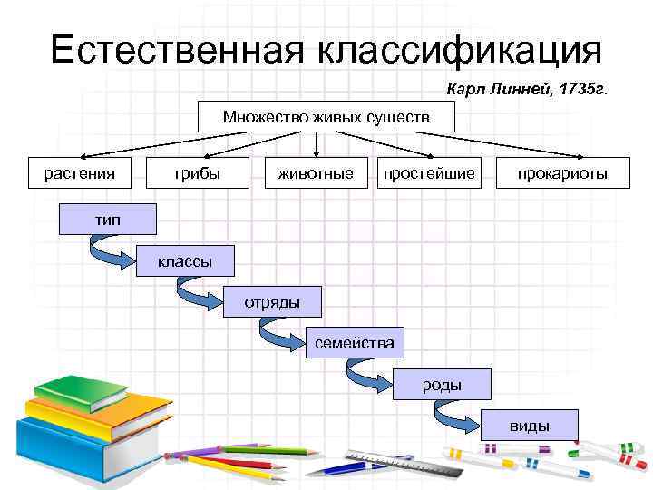 Естественная классификация Карл Линней, 1735 г. Множество живых существ растения грибы животные простейшие прокариоты