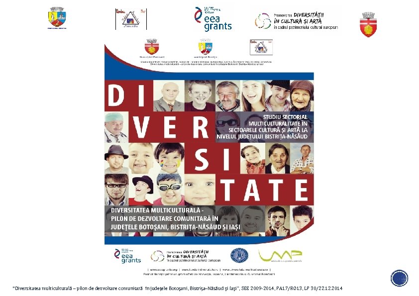 “Diversitatea multiculturală – pilon de dezvoltare comunitară în judeţele Botoşani, Bistriţa–Năsăud şi Iaşi’’, SEE