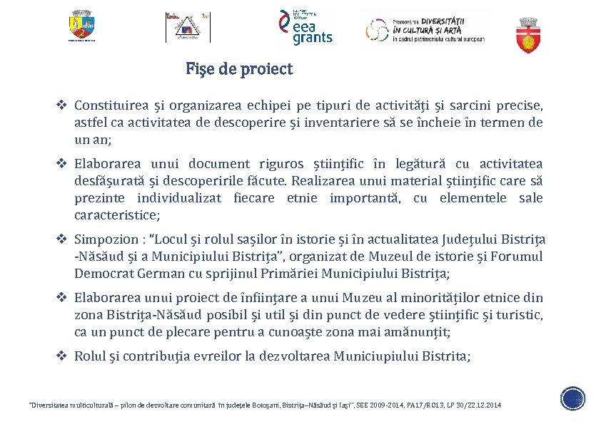 Fișe de proiect v Constituirea și organizarea echipei pe tipuri de activități și sarcini