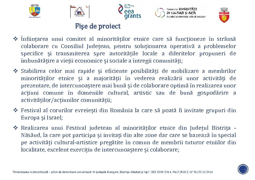 Fișe de proiect v Înființarea unui comitet al minorităților etnice care să funcționeze în