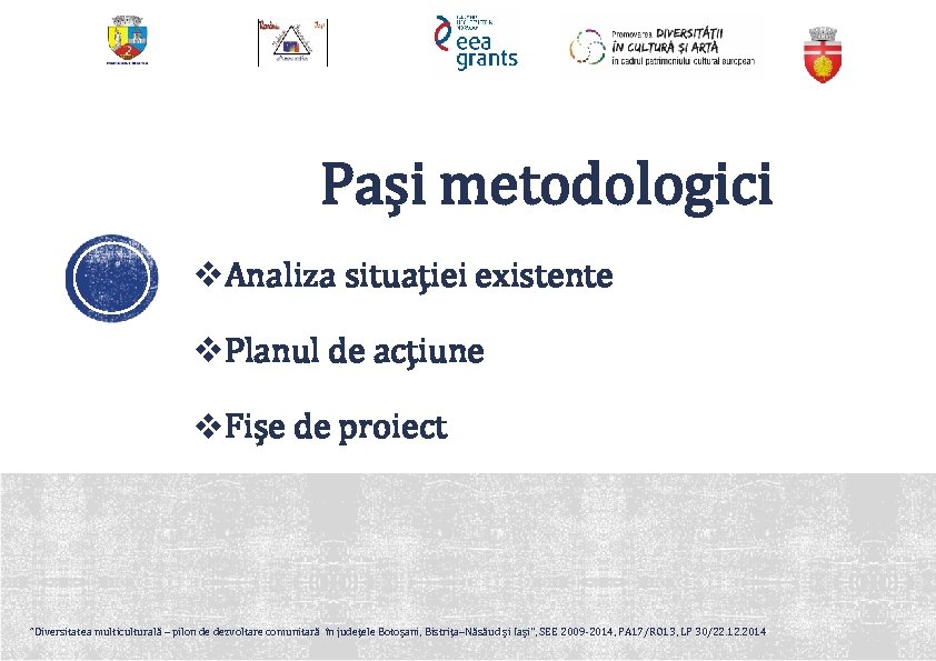 Pași metodologici v. Analiza situației existente v. Planul de acțiune v. Fișe de proiect