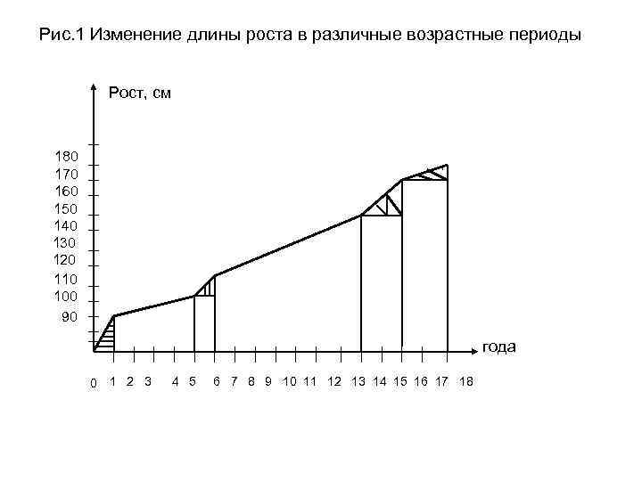 Рис. 1 Изменение длины роста в различные возрастные периоды Рост, см 180 170 160