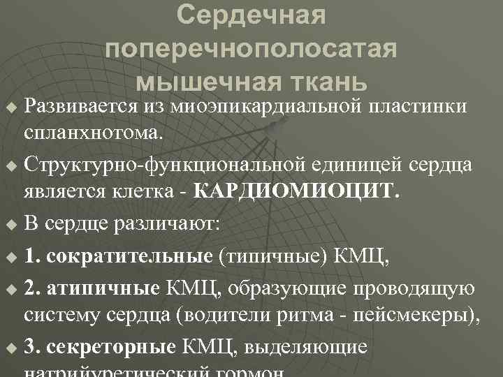 Сердечная поперечнополосатая мышечная ткань Развивается из миоэпикардиальной пластинки спланхнотома. u Структурно-функциональной единицей сердца является