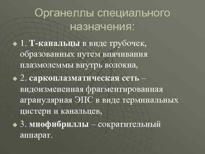 Органеллы специального назначения: 1. Т-канальцы в виде трубочек, образованных путем впячивания плазмолеммы внутрь волокна,