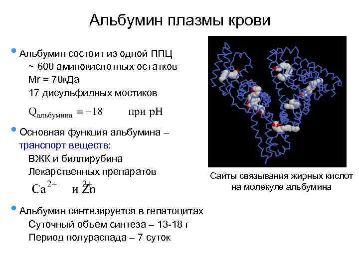 Альбумин плазмы крови • Альбумин состоит из одной ППЦ ~ 600 аминокислотных остатков Mr