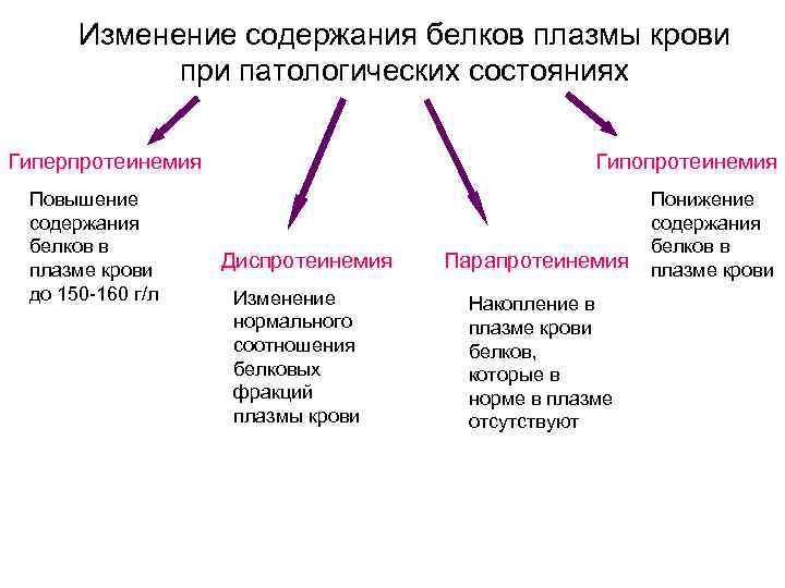 Изменение содержания белков плазмы крови при патологических состояниях Гиперпротеинемия Повышение содержания белков в плазме