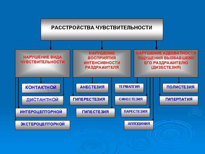 РАССТРОЙСТВА ЧУВСТВИТЕЛЬНОСТИ НАРУШЕНИЕ ВИДА ЧУВСТВИТЕЛЬНОСТИ КОНТАКТНОЙ ДИСТАНТНОЙ ИНТЕРОЦЕПТОРНОЙ ЭКСТЕРОЦЕПТОРНОЙ НАРУШЕНИЕ ВОСПРИЯТИЯ ИНТЕНСИВНОСТИ РАЗДРАЖИТЕЛЯ АНЕСТЕЗИЯ