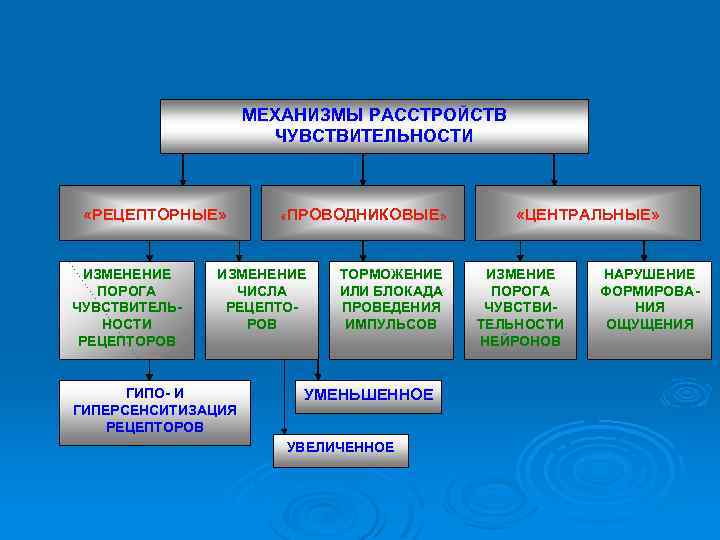 МЕХАНИЗМЫ РАССТРОЙСТВ ЧУВСТВИТЕЛЬНОСТИ «РЕЦЕПТОРНЫЕ» ИЗМЕНЕНИЕ ПОРОГА ЧУВСТВИТЕЛЬНОСТИ РЕЦЕПТОРОВ «ПРОВОДНИКОВЫЕ» ИЗМЕНЕНИЕ ЧИСЛА РЕЦЕПТОРОВ ГИПО- И