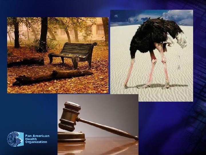 Pan American Health Organization 