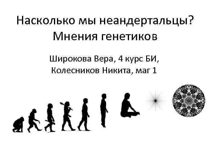 Насколько мы неандертальцы? Мнения генетиков Широкова Вера, 4 курс БИ, Колесников Никита, маг 1