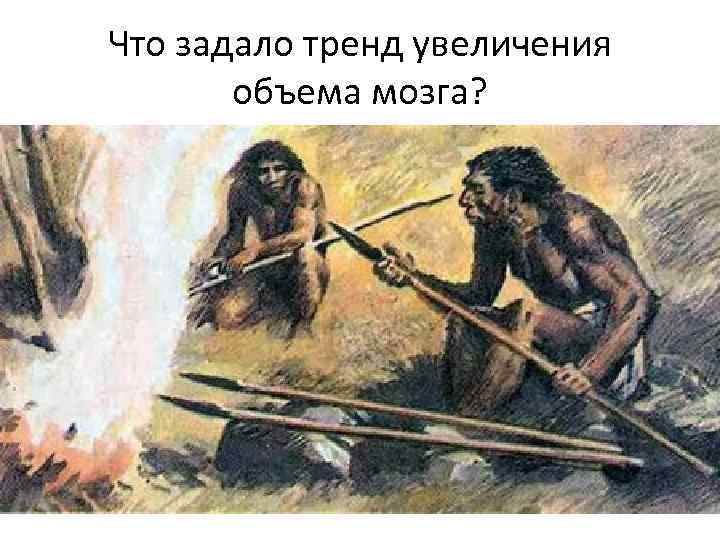 Что задало тренд увеличения объема мозга? 