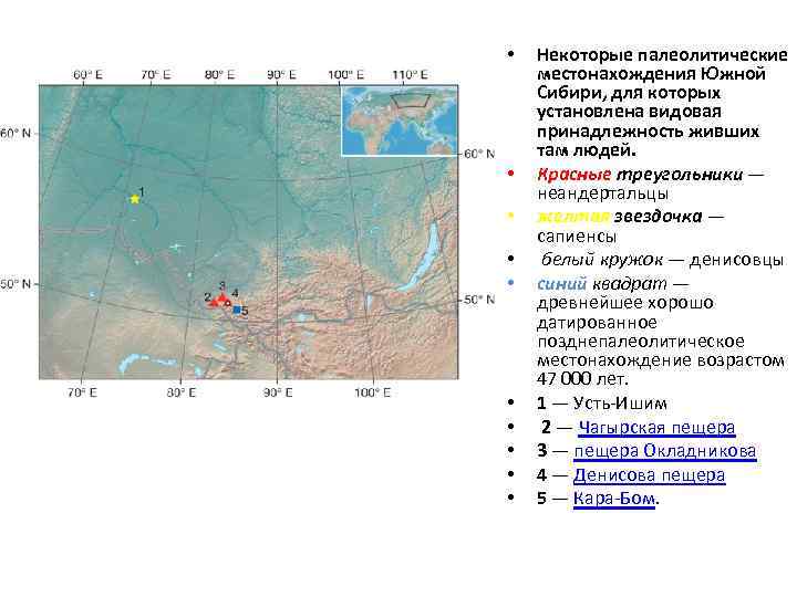  • • • Некоторые палеолитические местонахождения Южной Сибири, для которых установлена видовая принадлежность