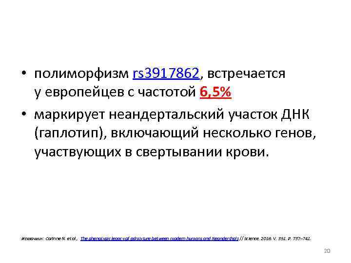  • полиморфизм rs 3917862, встречается у европейцев с частотой 6, 5% • маркирует