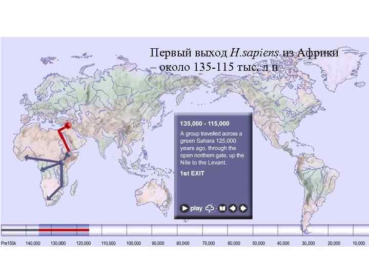 Первый выход H. sapiens из Африки – около 135 -115 тыс. л н 