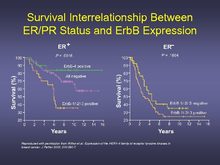 Survival Interrelationship Between ER/PR Status and Erb. B Expression Reproduced with permission from Witton