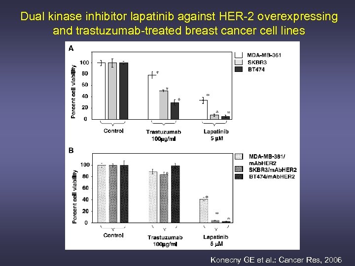 Dual kinase inhibitor lapatinib against HER-2 overexpressing and trastuzumab-treated breast cancer cell lines Konecny