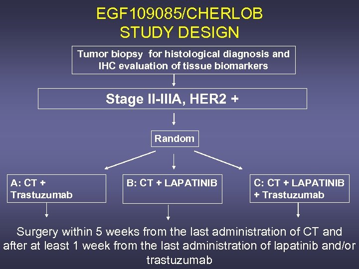 EGF 109085/CHERLOB STUDY DESIGN Tumor biopsy for histological diagnosis and IHC evaluation of tissue
