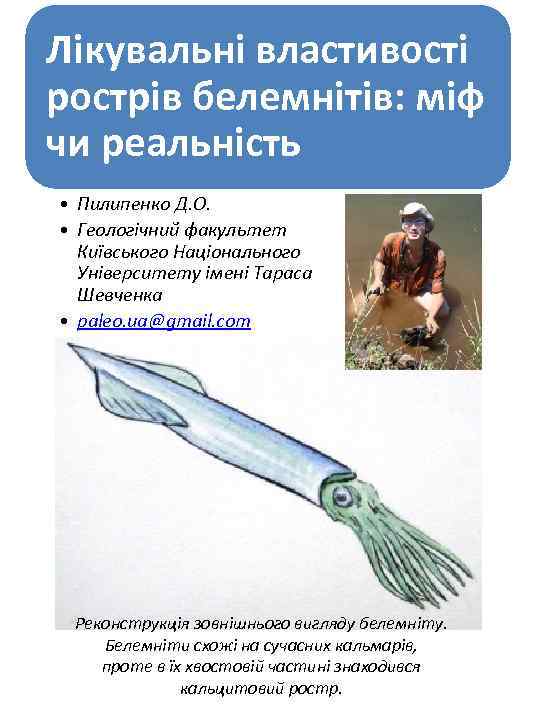 Лікувальні властивості рострів белемнітів: міф чи реальність • Пилипенко Д. О. • Геологічний факультет