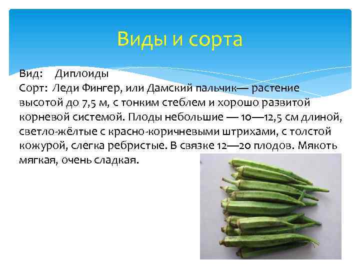 Виды и сорта Вид: Диплоиды Сорт: Леди Фингер, или Дамский пальчик— растение высотой до