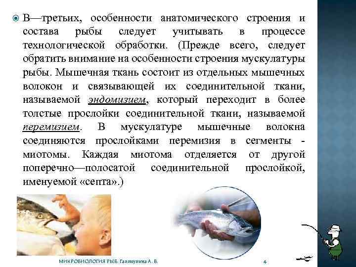  В—третьих, особенности анатомического строения и состава рыбы следует учитывать в процессе технологической обработки.