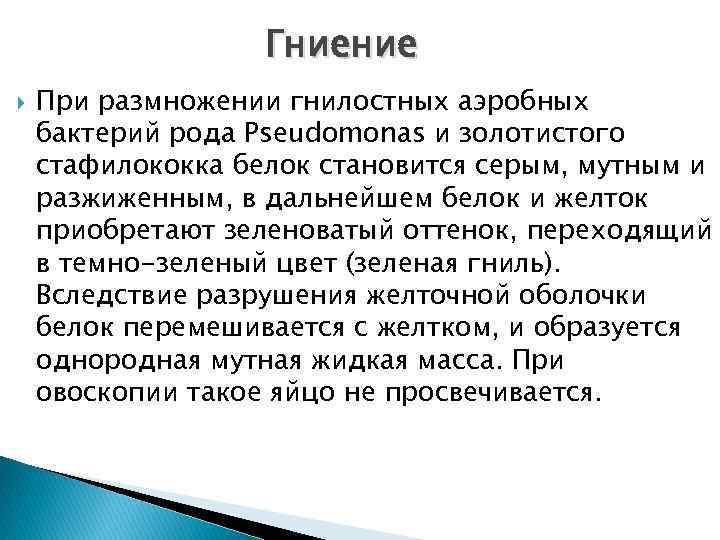 Гниение При размножении гнилостных аэробных бактерий рода Pseudomonas и золотистого стафилококка белок становится серым,