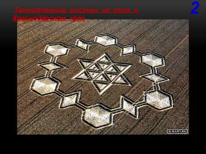  Таинственные рисунки на поле в Краснодарском крае 2 