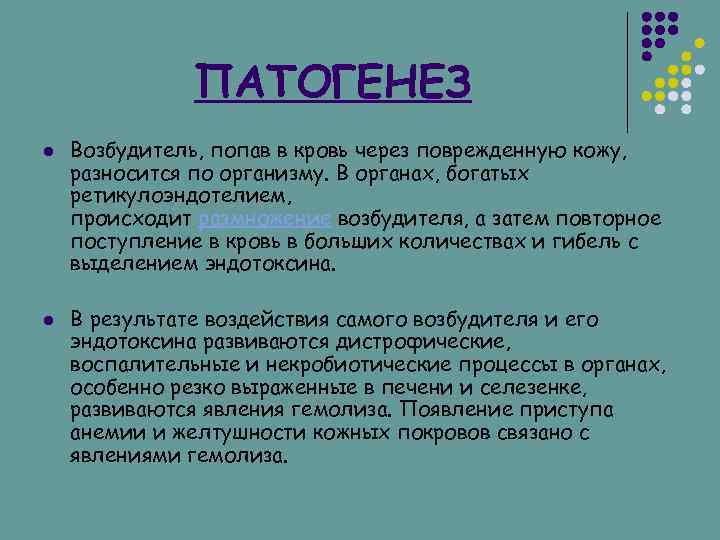 Возвратный тиф презентация