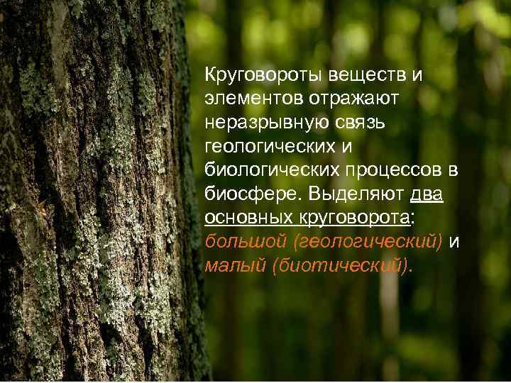 Круговороты веществ и элементов отражают неразрывную связь геологических и биологических процессов в биосфере. Выделяют