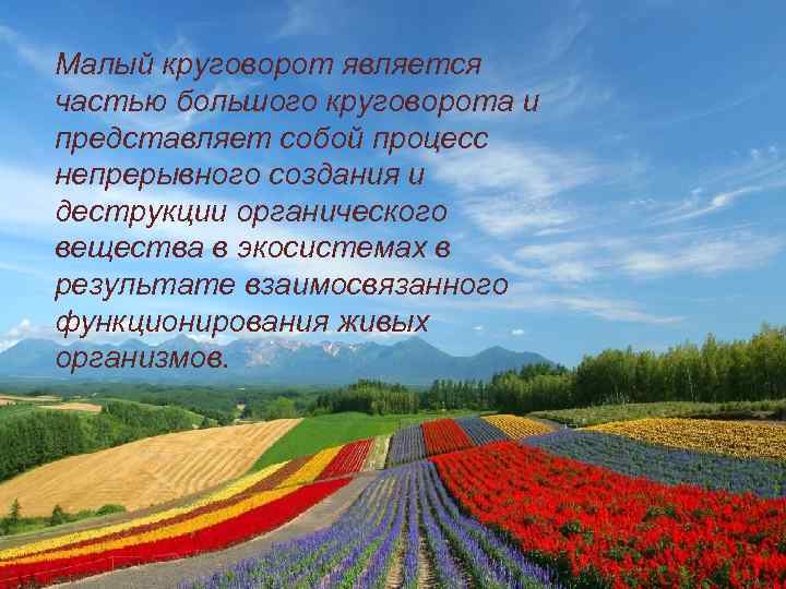Малый круговорот является частью большого круговорота и представляет собой процесс непрерывного создания и деструкции