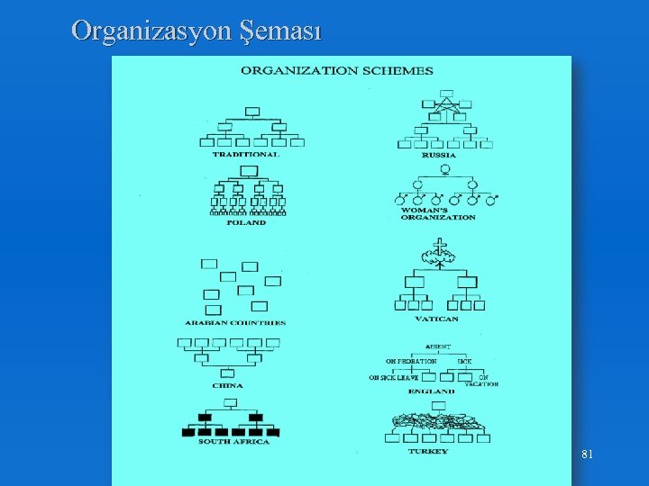 Organizasyon Şeması ISO 9001 Maddeleri 81 
