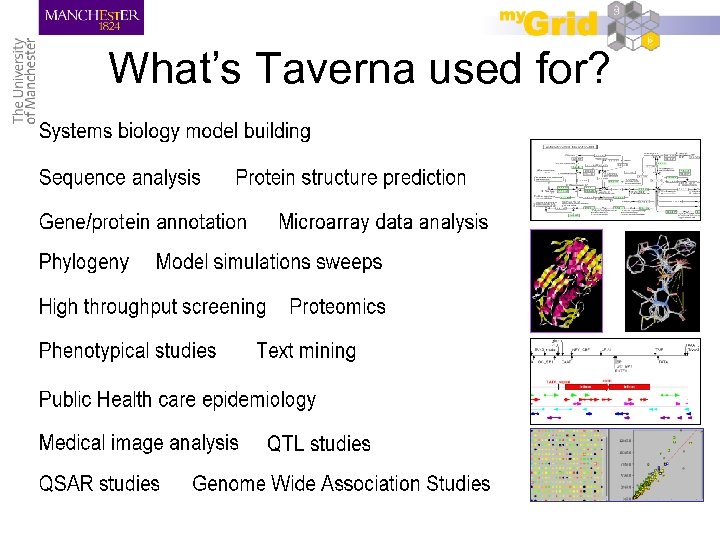 What’s Taverna used for? 