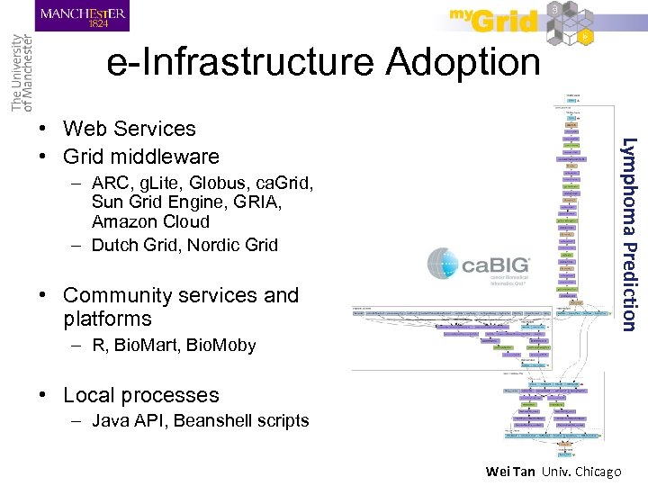 e-Infrastructure Adoption – ARC, g. Lite, Globus, ca. Grid, Sun Grid Engine, GRIA, Amazon