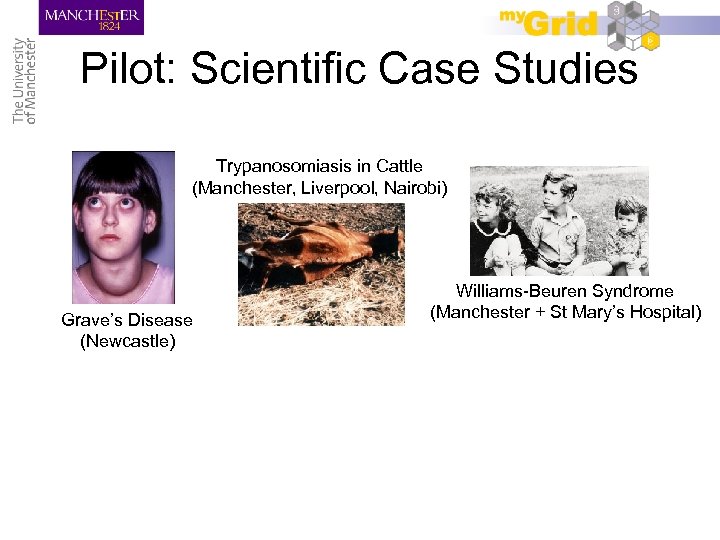 Pilot: Scientific Case Studies Trypanosomiasis in Cattle (Manchester, Liverpool, Nairobi) Grave’s Disease (Newcastle) Williams-Beuren